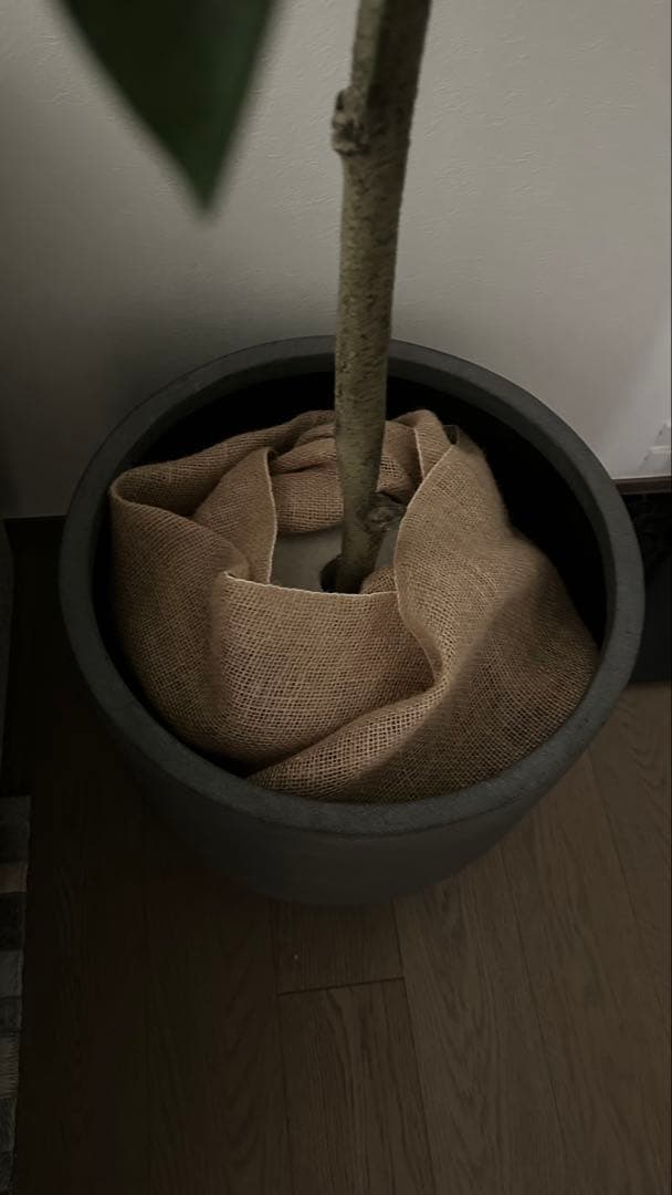 大型　フェイクグリーン　観葉植物　鉢付き