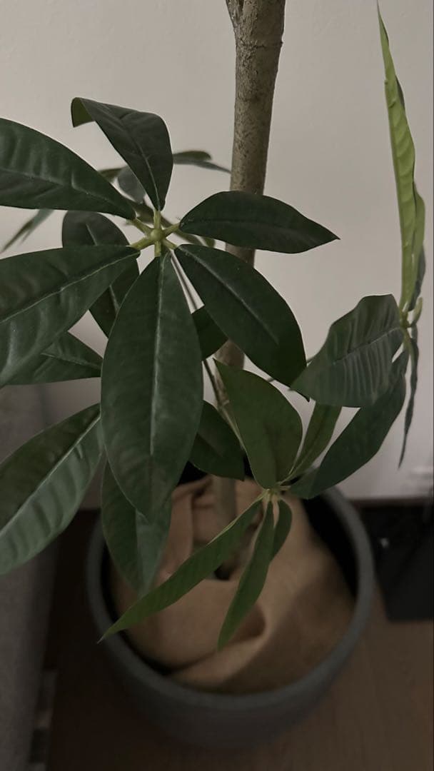 大型　フェイクグリーン　観葉植物　鉢付き