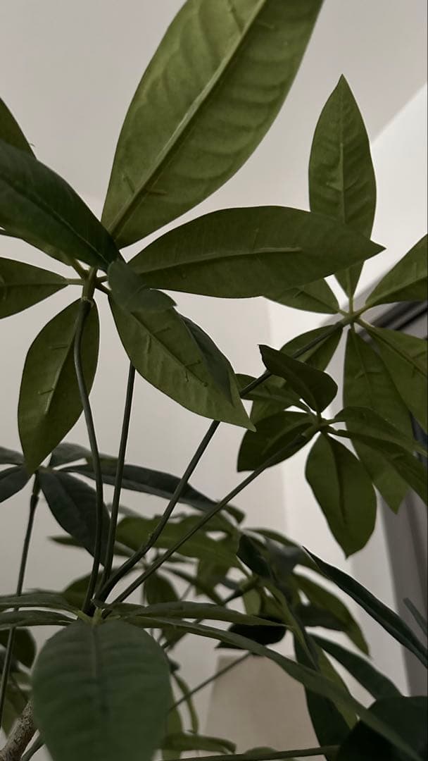 大型　フェイクグリーン　観葉植物　鉢付き