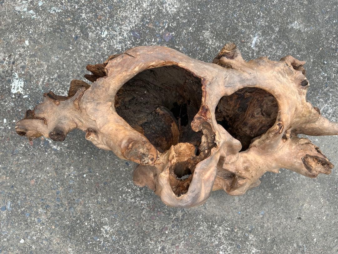 欅 オブジェ インテリア