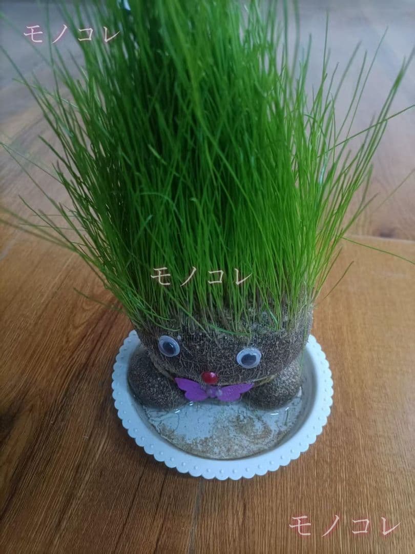 かわいい草生えちゃん DIY 草育てポット デスクトップ 癒しグリーンインテリア