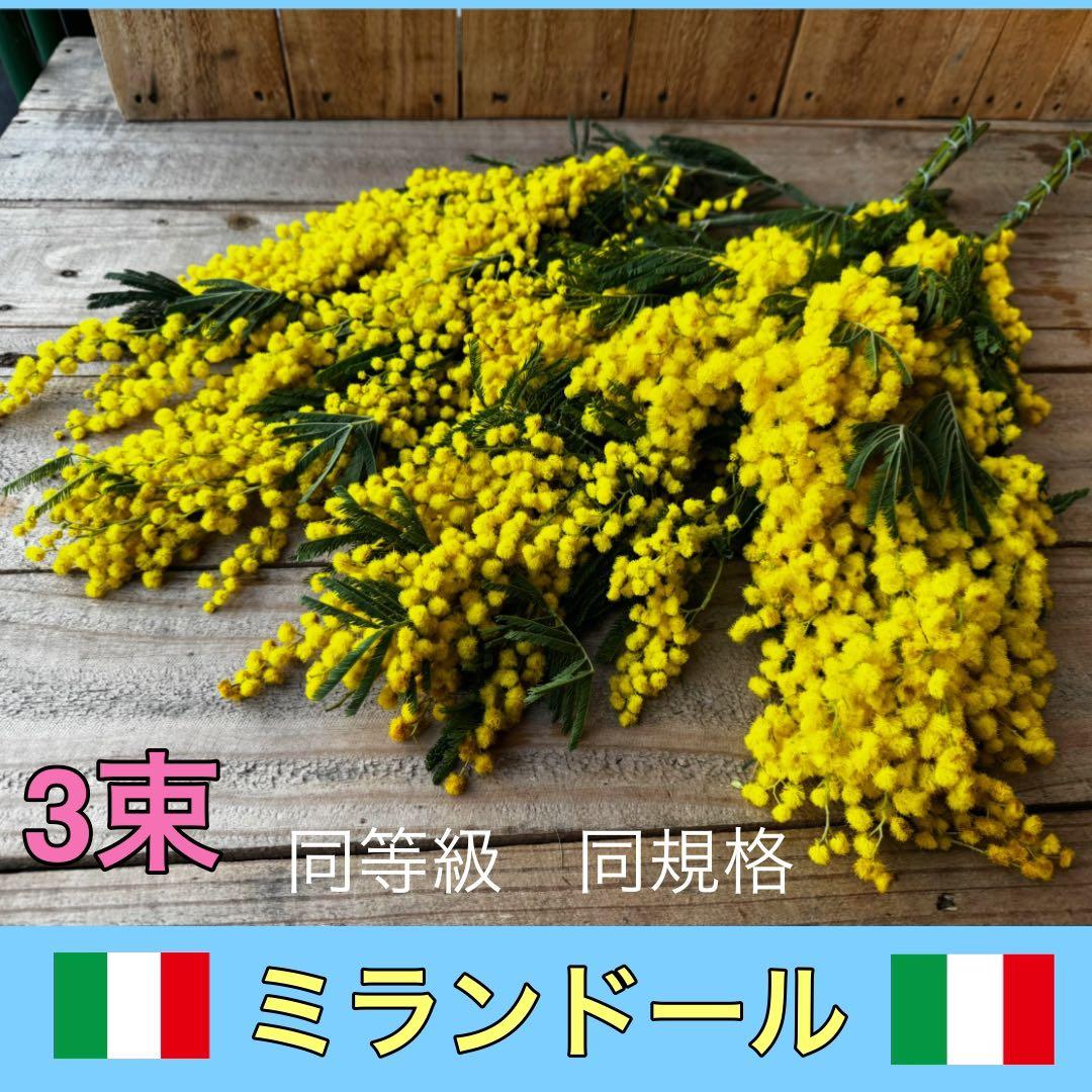 popomama☺︎様 リクエスト 3点 まとめ商品