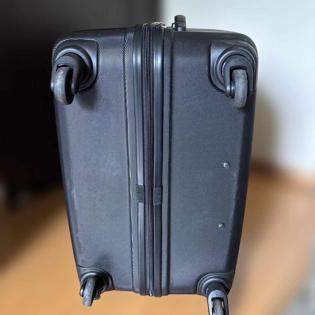 カメレオン　幾何学模様 ブラック キャリーケース　L