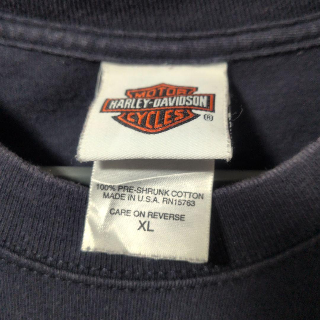 ハーレーダビッドソン　ロンＴ　袖ブルーフレイム　XL