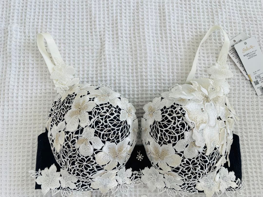 サルート　ブラF70 ソングM 89 KO あさきゆめみし