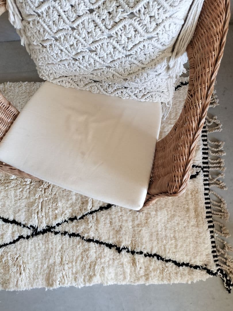 ランナー/黒ダイヤベニワレン　No.539