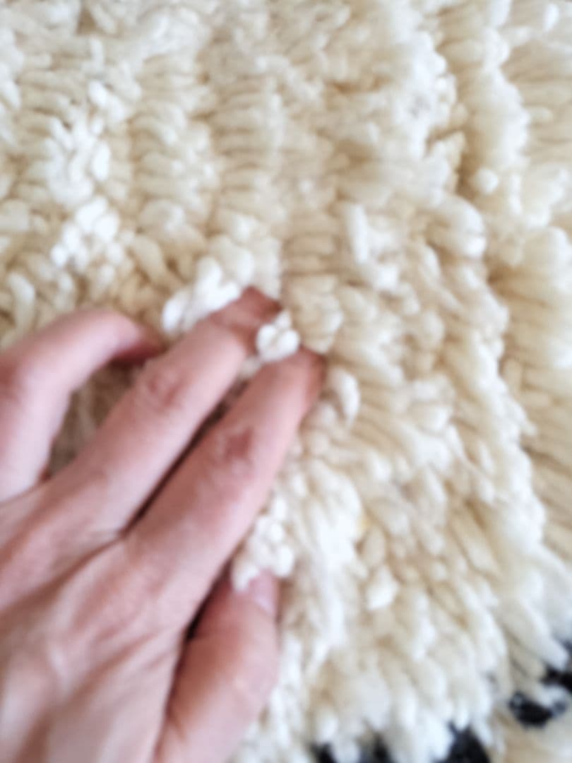 ランナー/黒ダイヤベニワレン　No.539