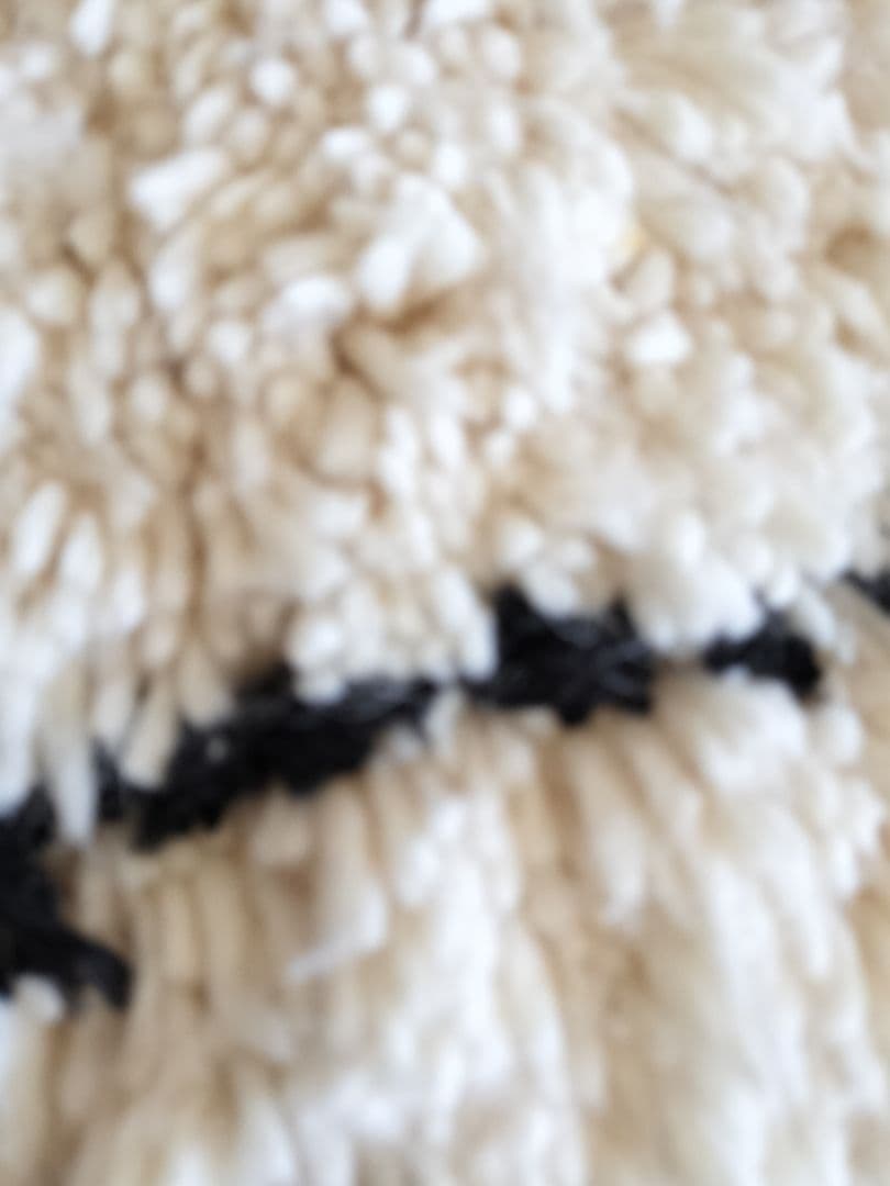 ランナー/黒ダイヤベニワレン　No.539