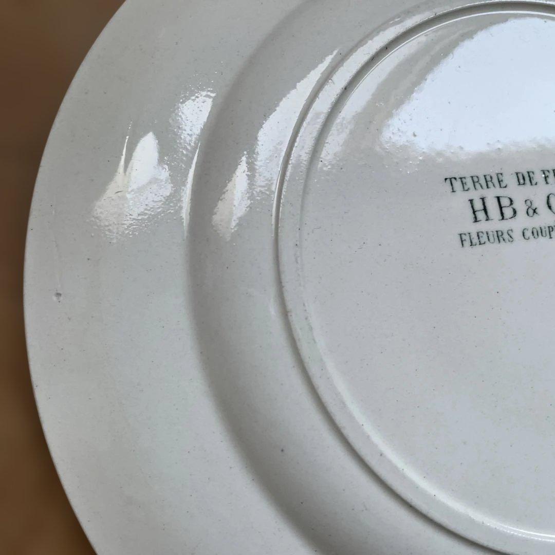 Choisy FLEURS COUPLES 切り花