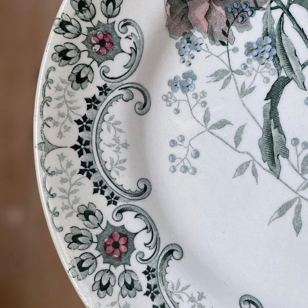 Choisy FLEURS COUPLES 切り花