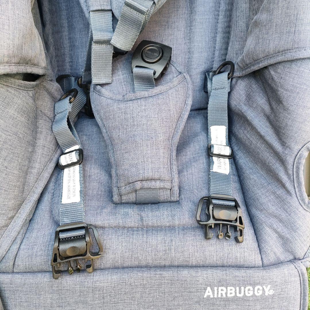 【値下げ交渉OK】エアバギー　ココダブルEX　フロムバース　アースブルー