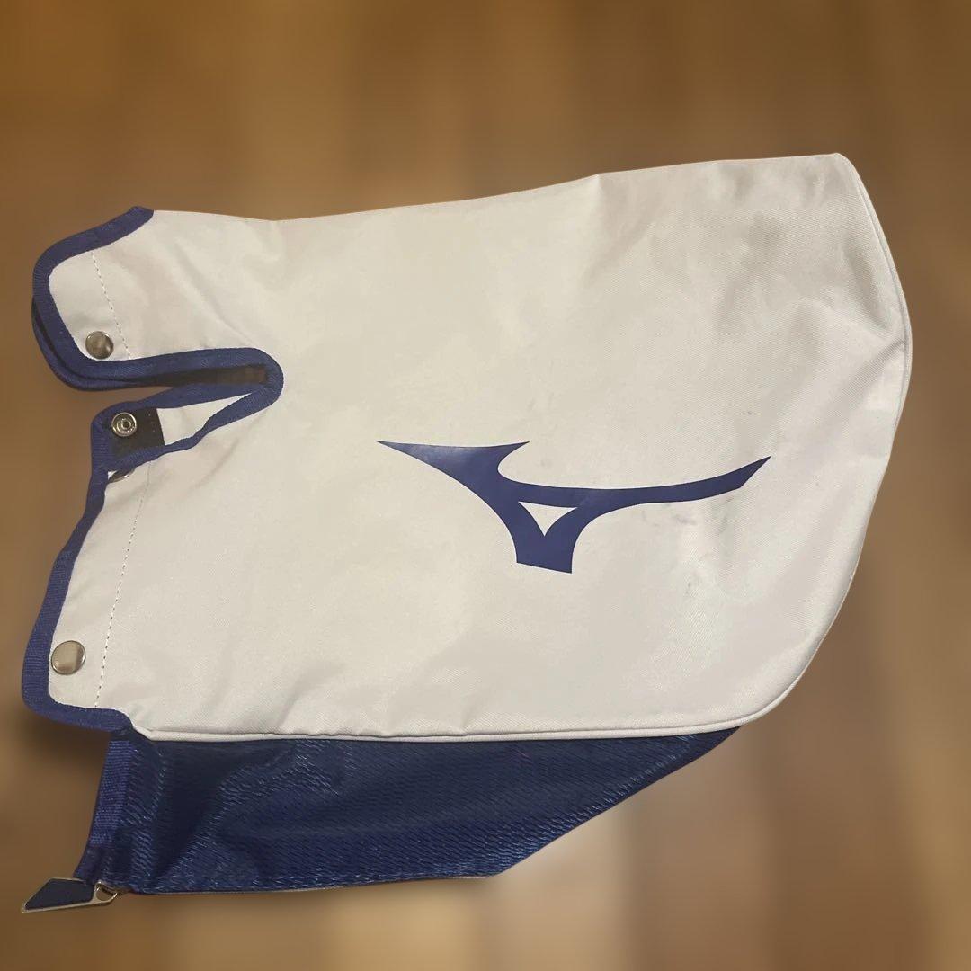 【希少カラー・スタンド式】Mizuno ゴルフ　キャディバッグ
