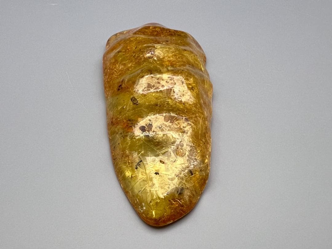 虫入り琥珀　多種多様な虫を内包した　バルティック　アンバー　バルト海沿岸地域産