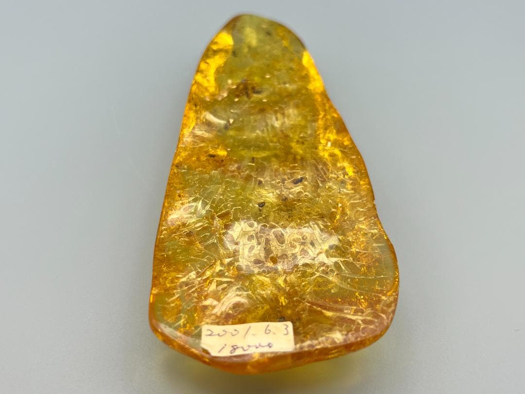 虫入り琥珀　多種多様な虫を内包した　バルティック　アンバー　バルト海沿岸地域産