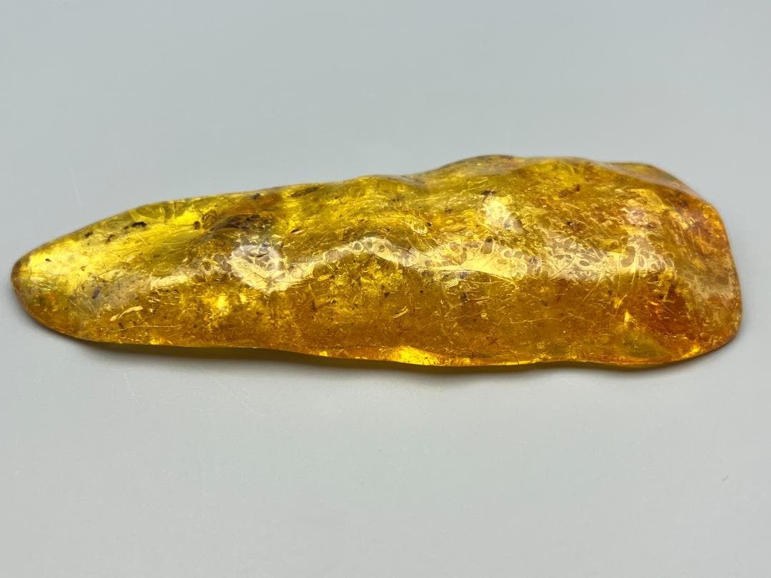 虫入り琥珀　多種多様な虫を内包した　バルティック　アンバー　バルト海沿岸地域産