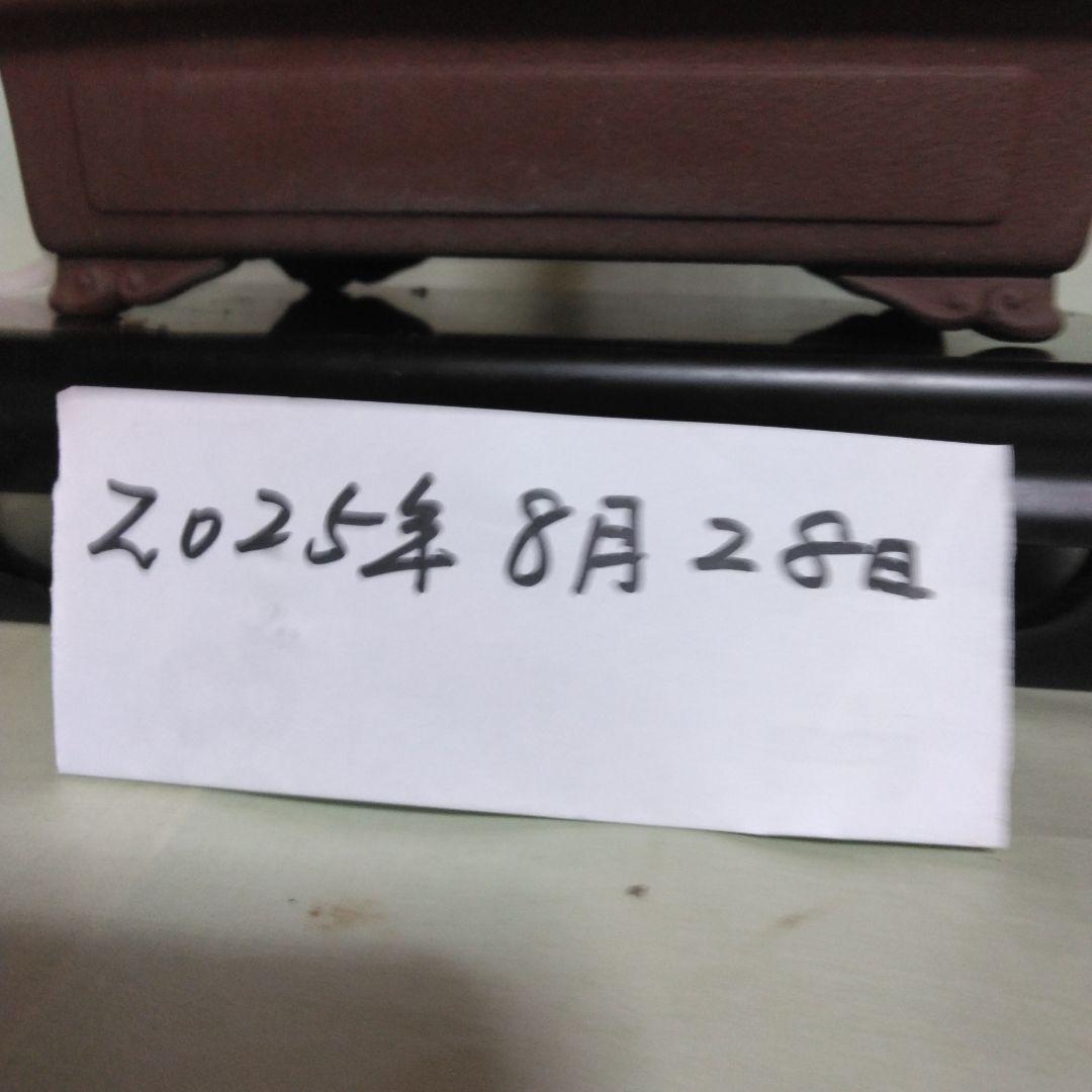寸梢黒松の盆栽、黒松、赤松、五葉松、真ぱく盆栽値下げしました