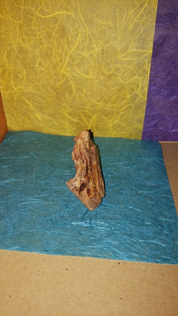 58 伽羅、六国五味、聞香、香木、沈香「ブルー白檀根瘤14,6g」