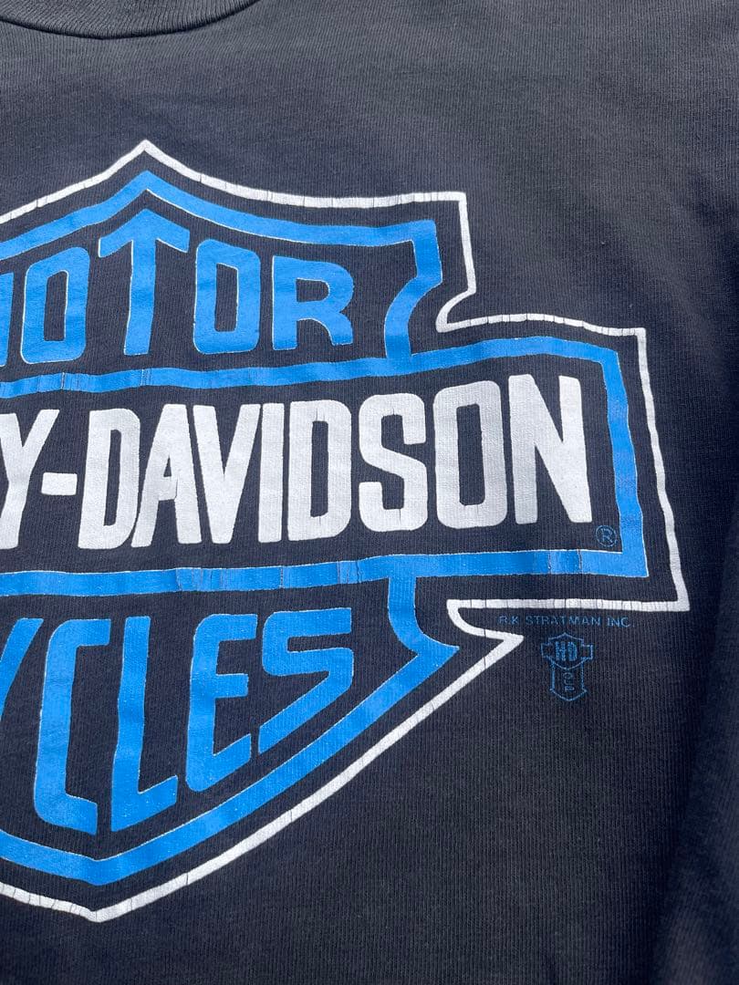 Harley-Davidson フレイム　ロンT 最終値下げ