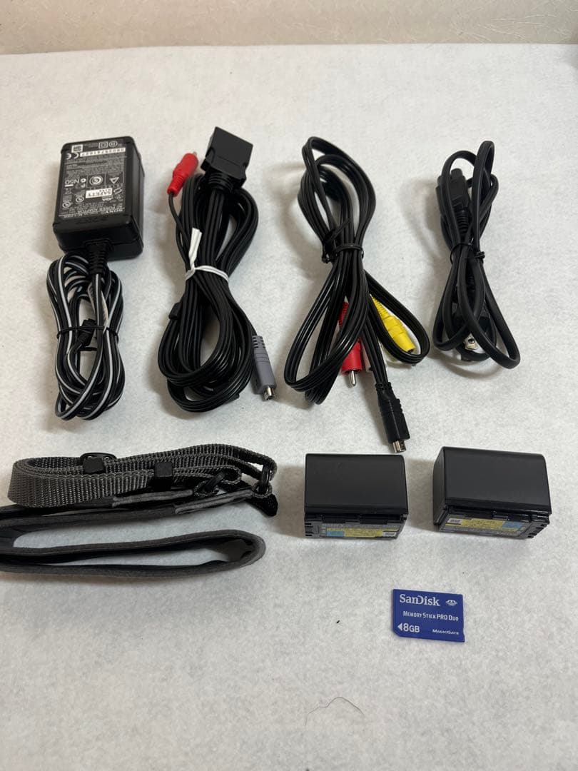 【極美品】ソニー SONY HDR-SR11 ビデオカメラ バッテリー2個付き