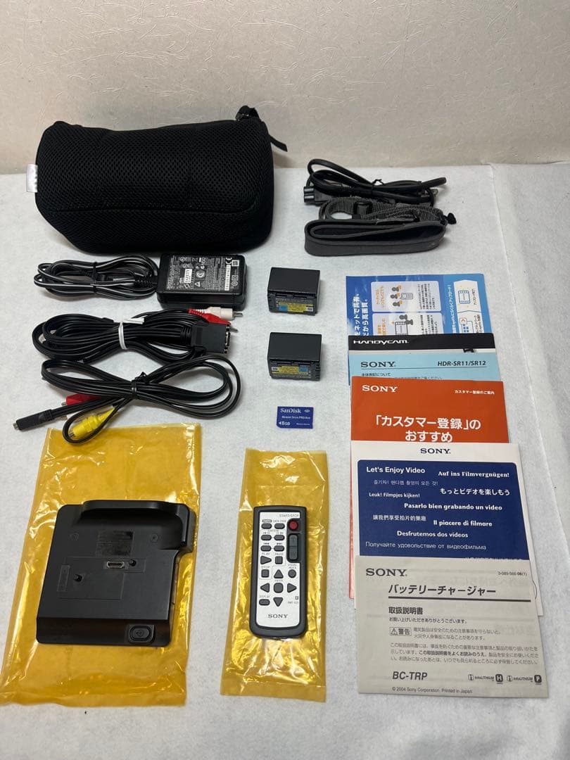 【極美品】ソニー SONY HDR-SR11 ビデオカメラ バッテリー2個付き