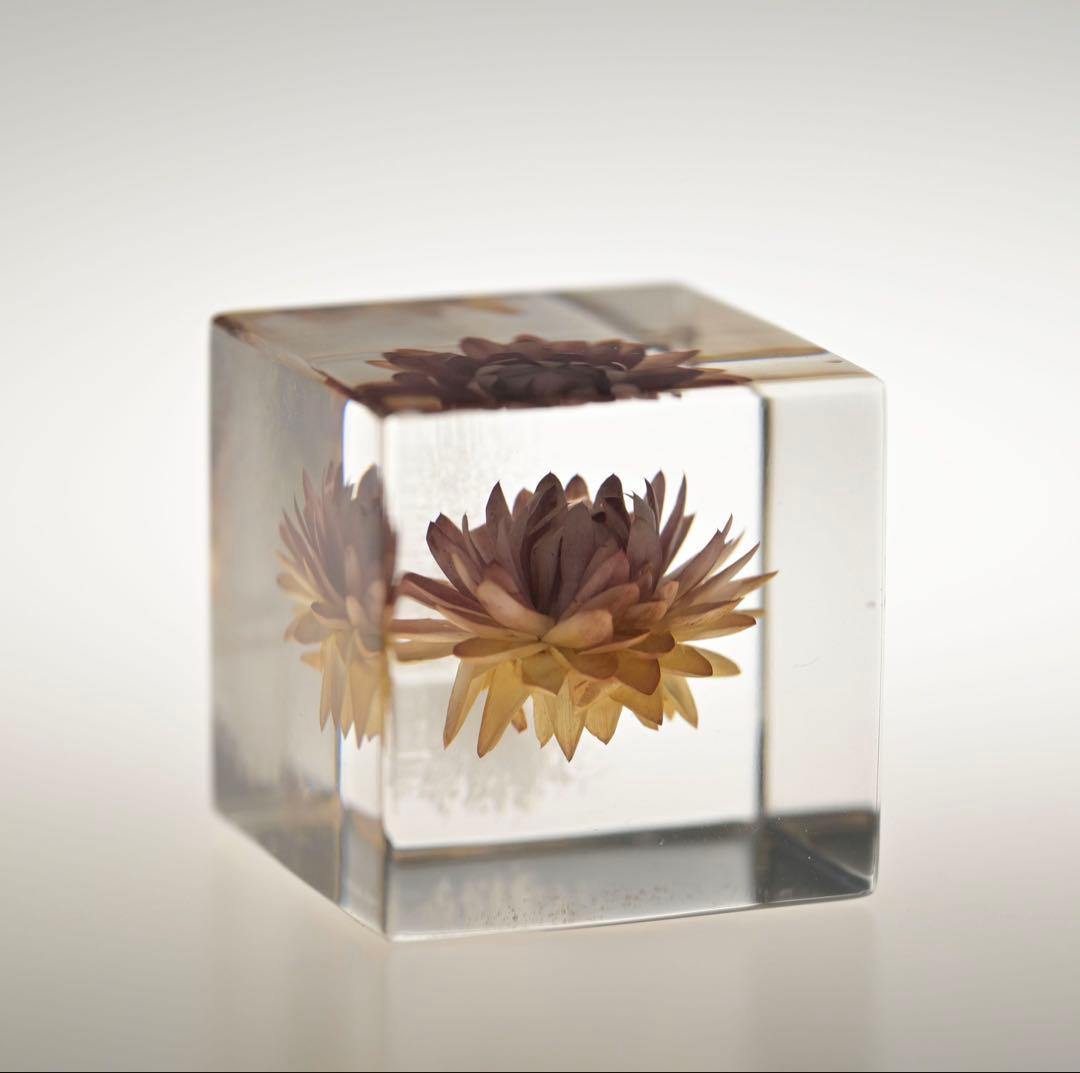 ソラキューブ sola cube 宙 木箱セット 8個