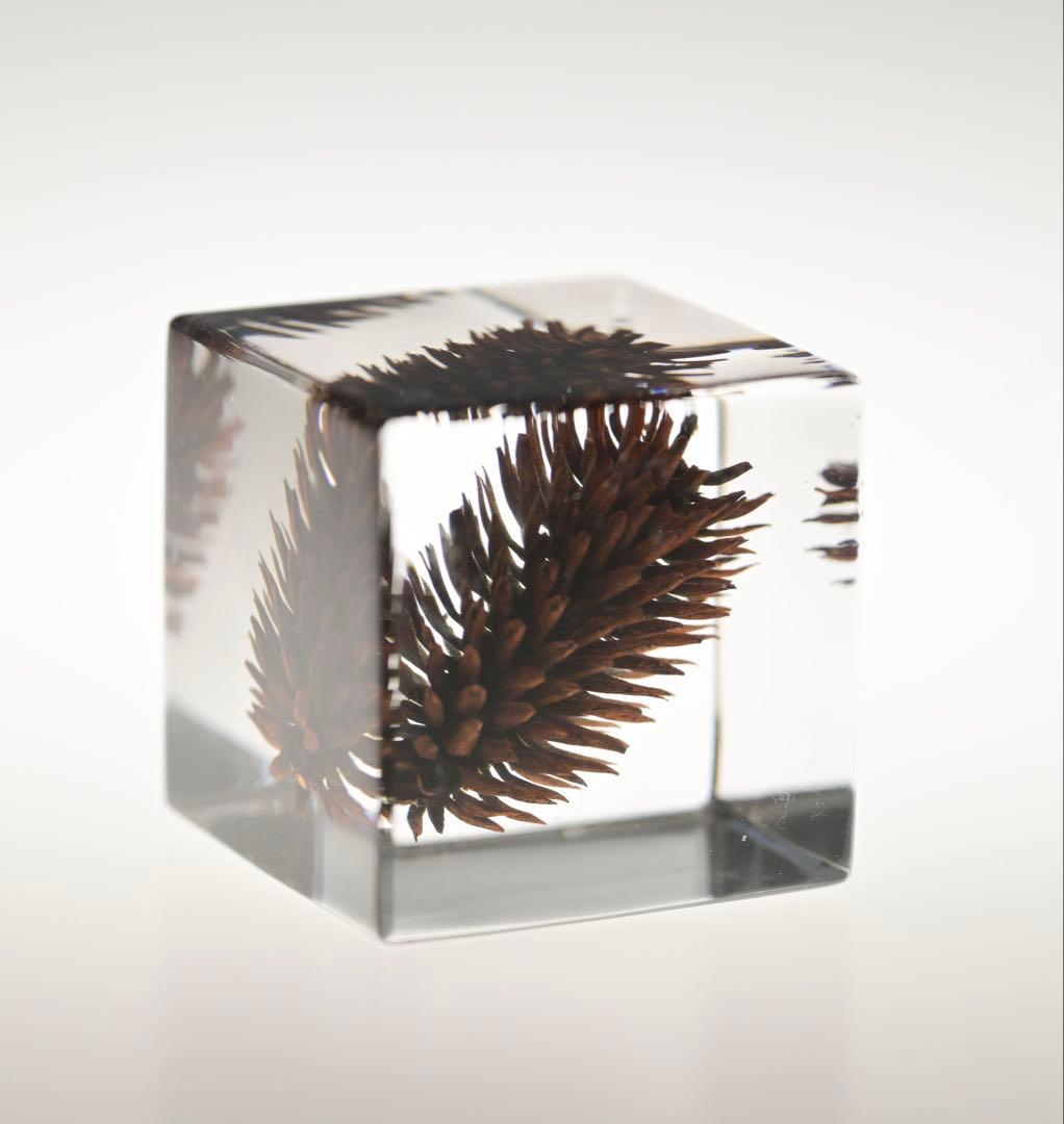 ソラキューブ sola cube 宙 木箱セット 8個