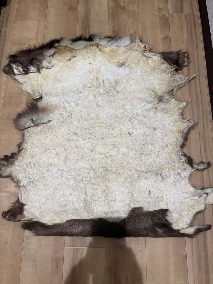 ニホンシカ　鹿皮　毛皮　90×70