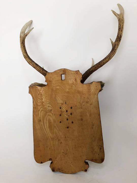 ハンティングトロフィー　壁飾り　蝦夷鹿