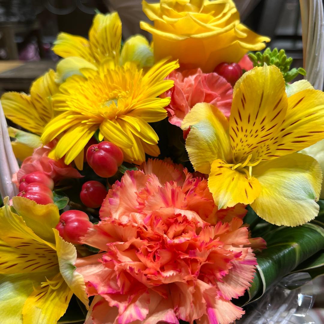 ご予約品　その1