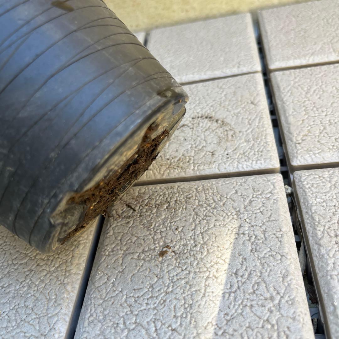 ご予約品　その1