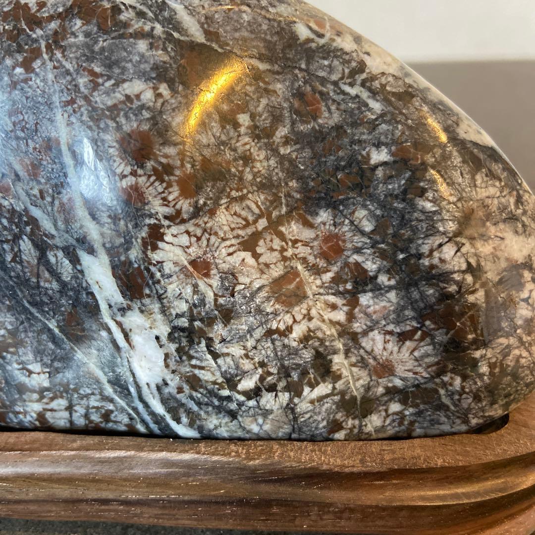 菊花石　★鑑賞石　菊花石