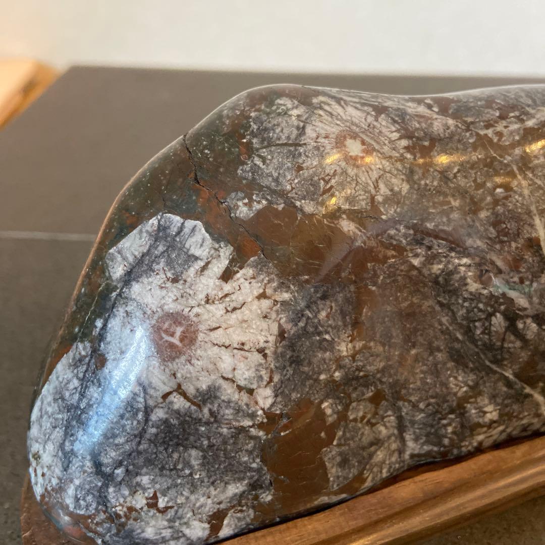 菊花石　★鑑賞石　菊花石