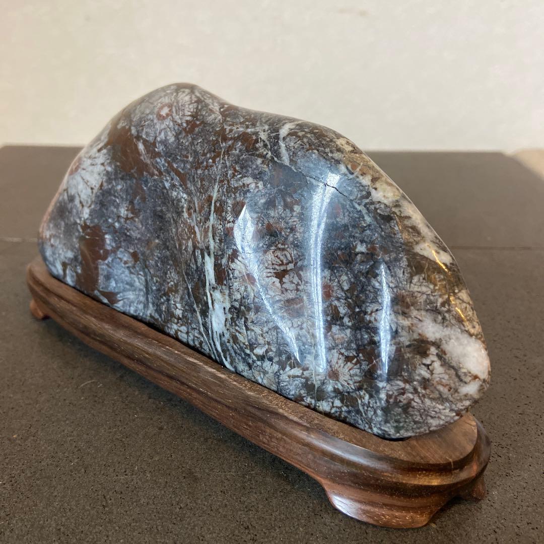 菊花石　★鑑賞石　菊花石