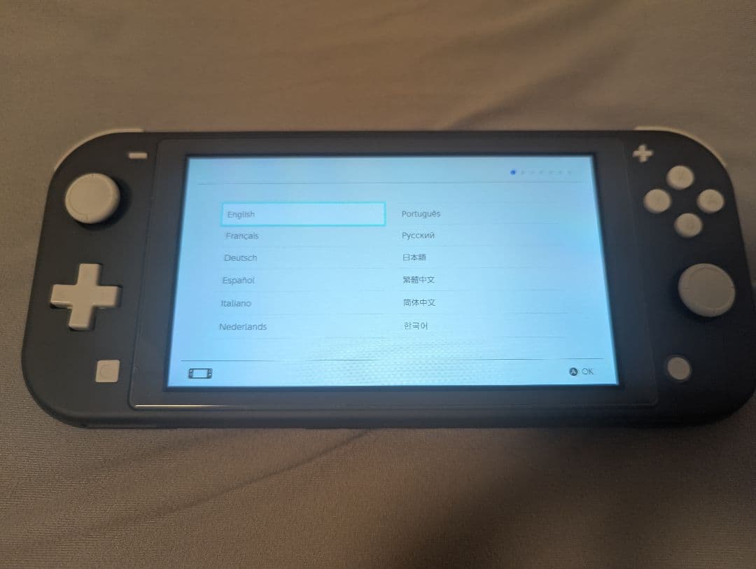 Nintendo Switch Lite グレー 本体　収納ケース付き