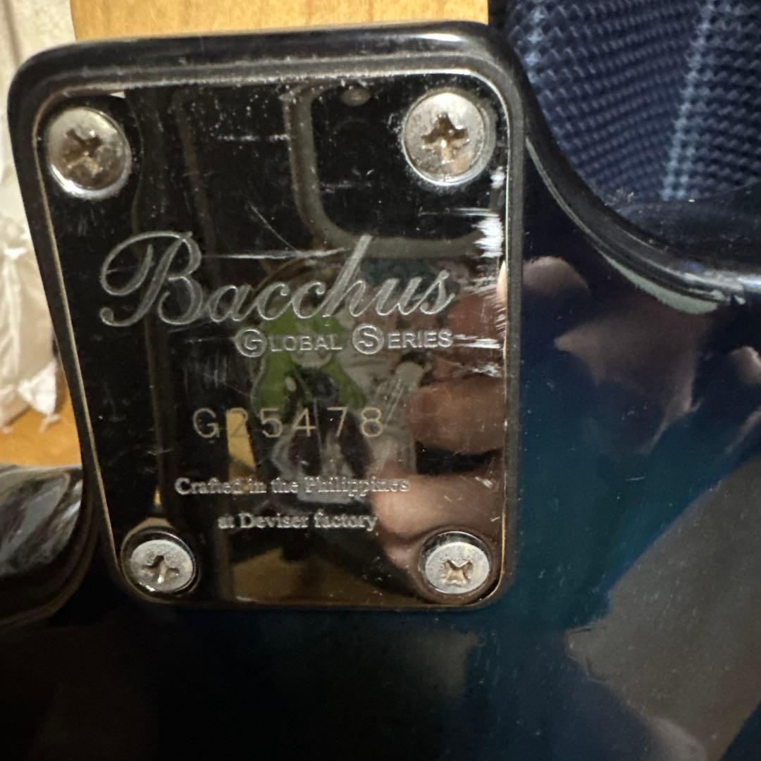 【*！様 Bacchus hand crafted equipment