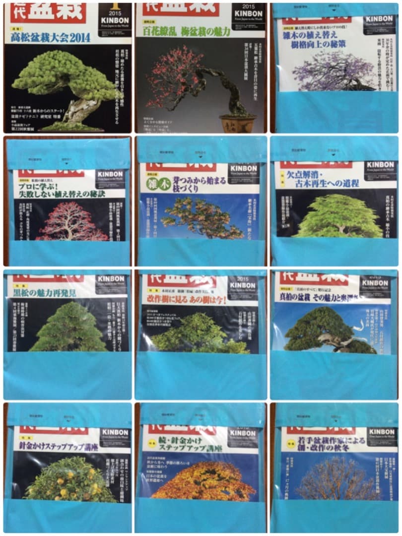 近代盆栽 2015年1月号〜12月号 12冊セット 近代出版 3〜12月号新品
