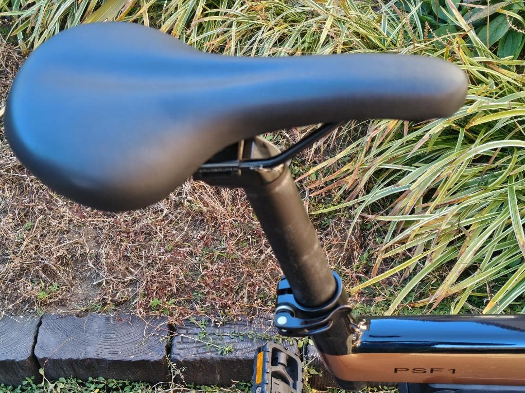 BESV PSF1 2021年頃 折りたたみ電動アシスト自転車 オプション付き