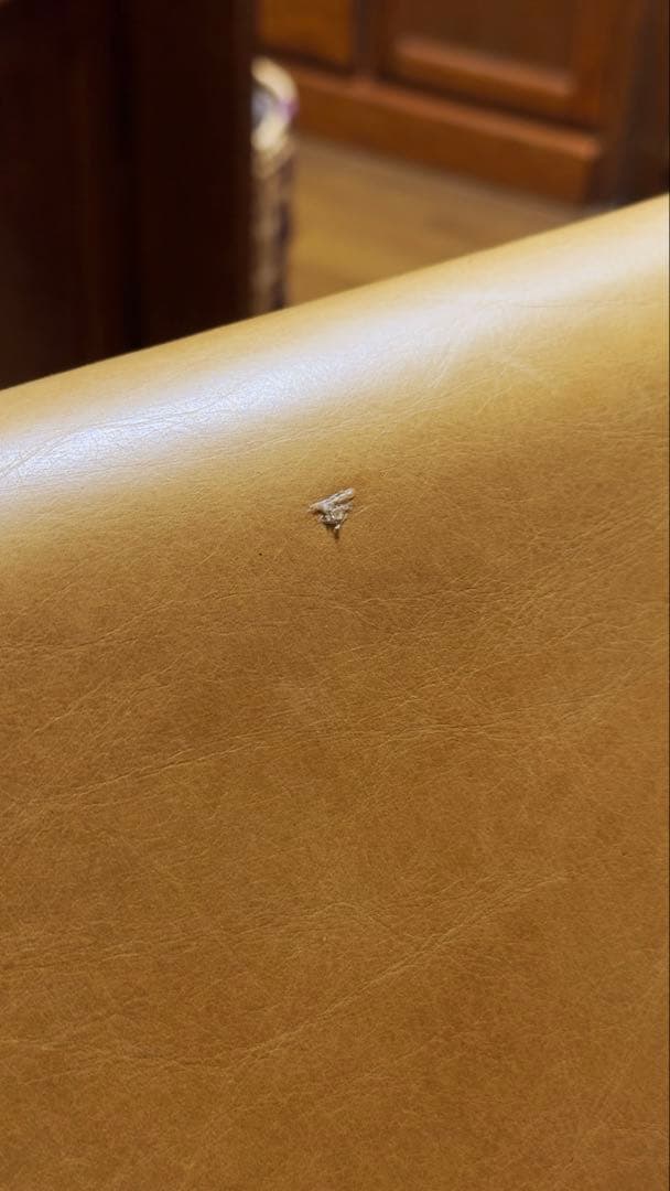 ハロ HALO FAT LUXE 2P ソファ