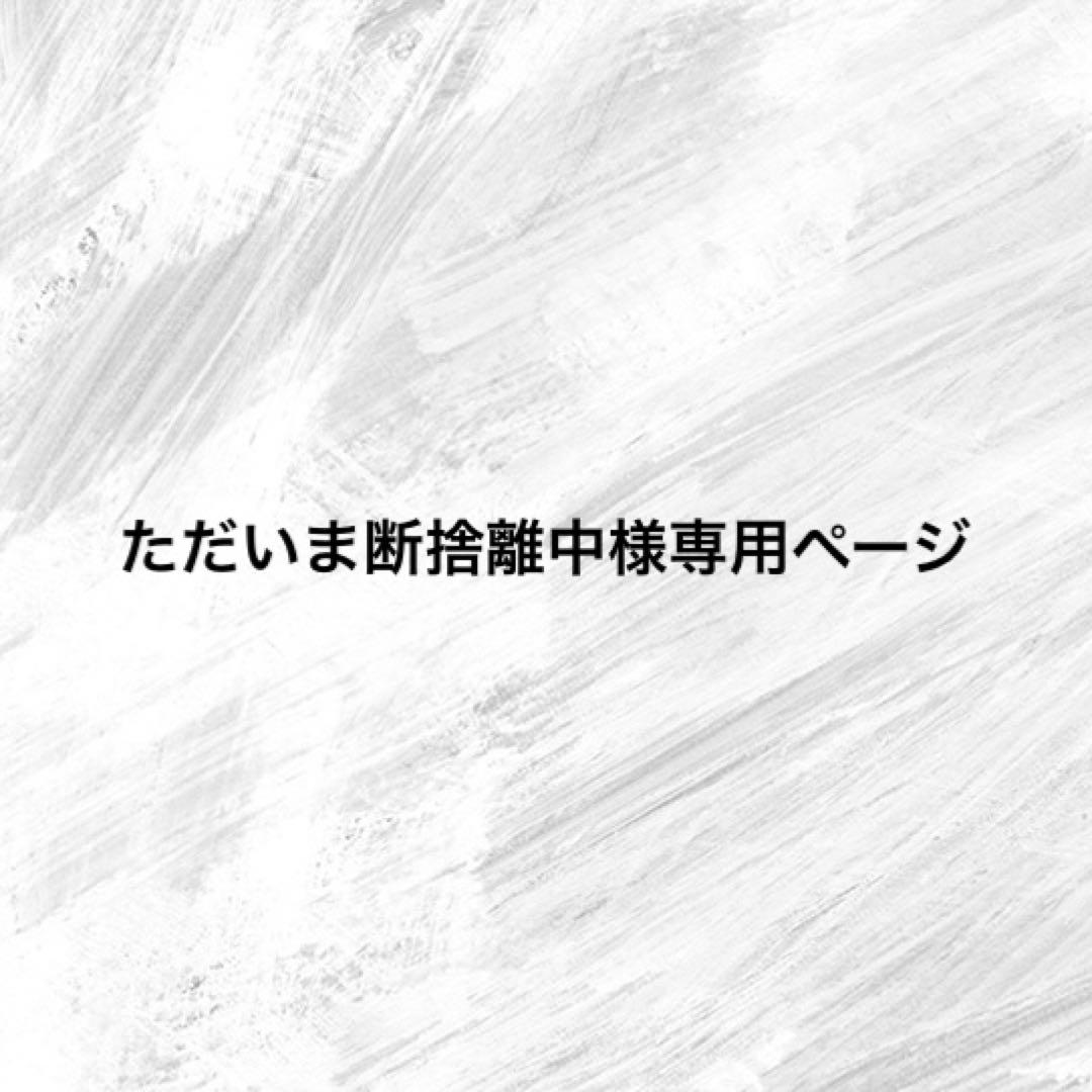 ただいま断捨離中ページ