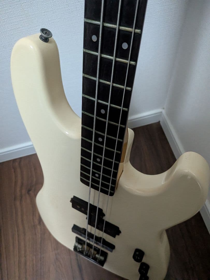 Fernandes Limited Edition　ソフトケース新品弦付きます