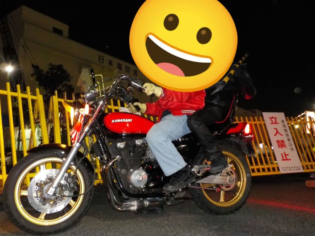 ゼファー400 40cm三段シート