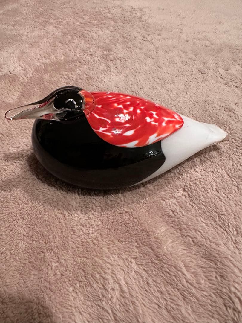 オイバトイッカ　ヌータヤルヴィ　バード