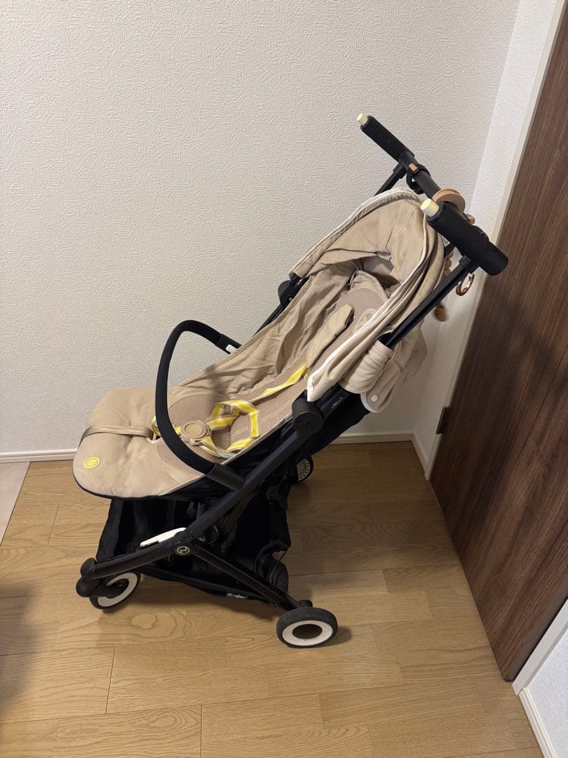 2023年モデル サイベックス シーシェルベージュ箱付き