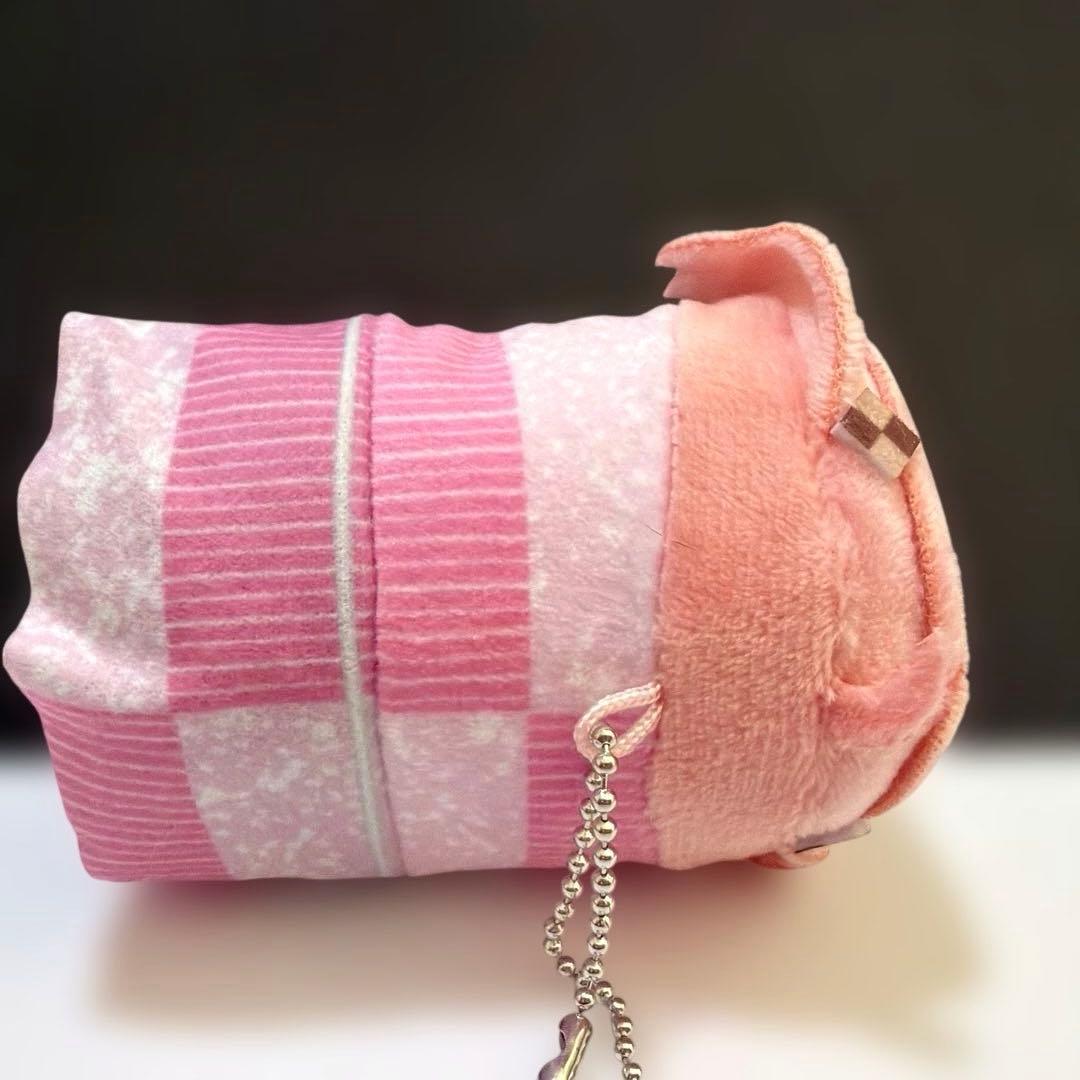 setoカラフルピーチ　のあ　アニメイト もちころりん