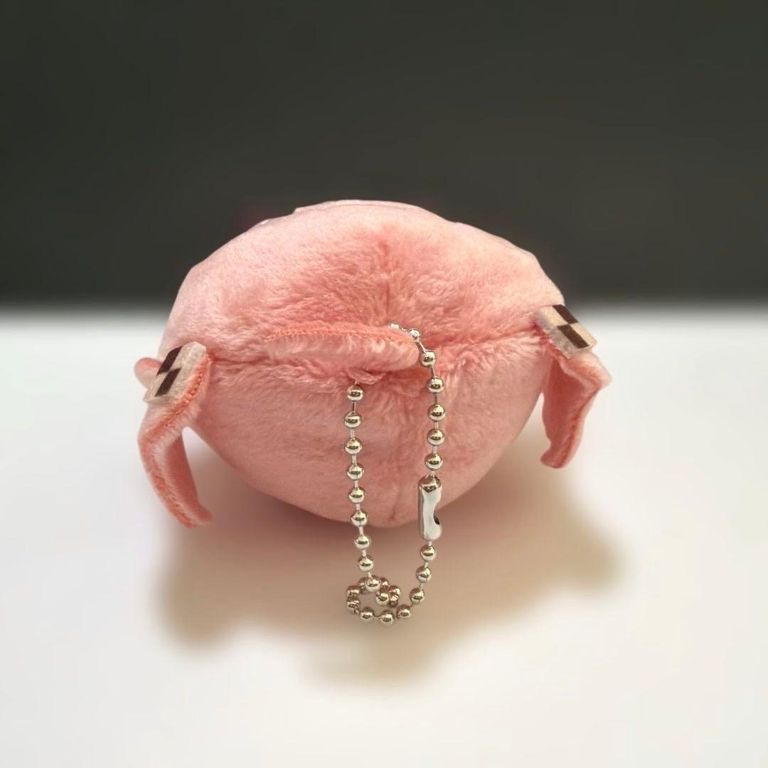 setoカラフルピーチ　のあ　アニメイト もちころりん