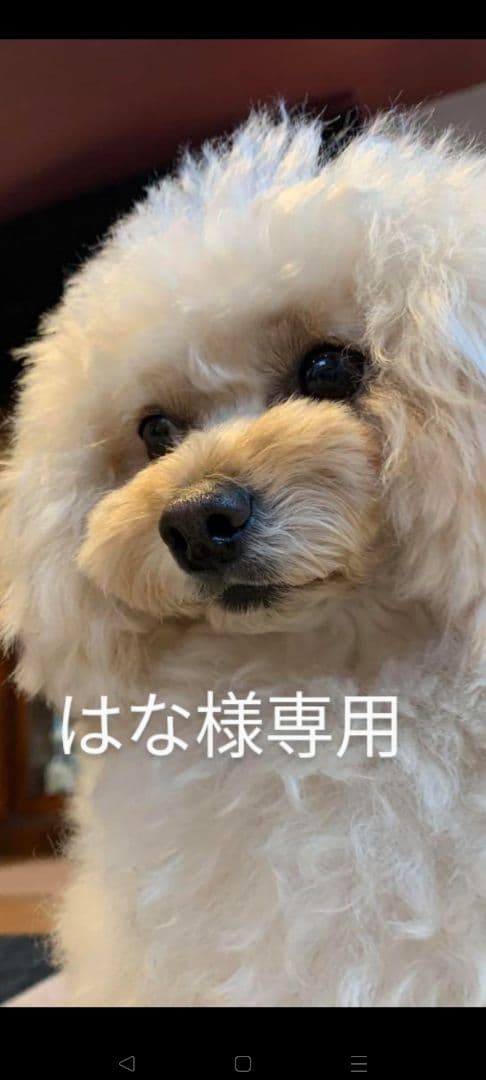 はなオーダーページ♡