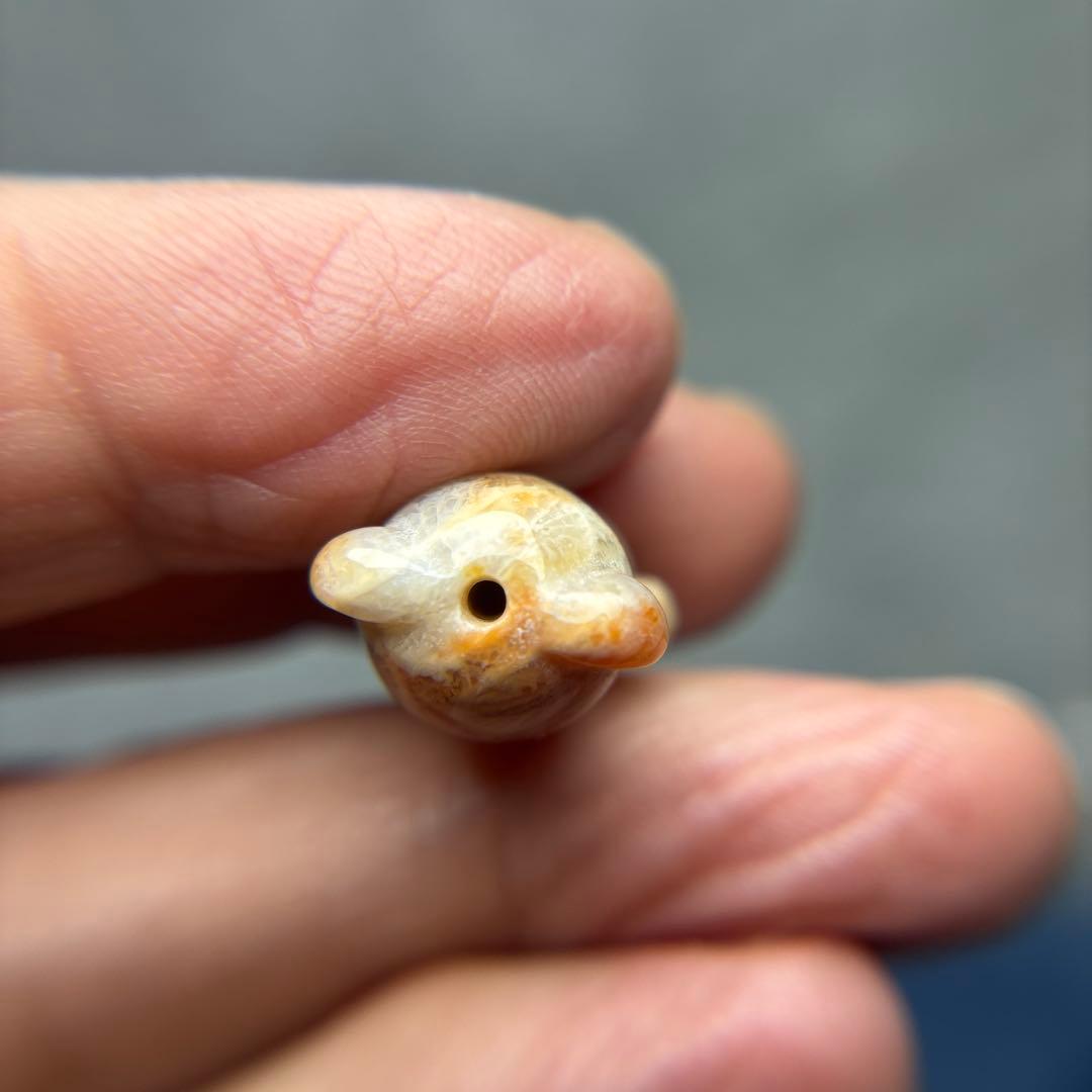 あずきちゃんフォッシルコーラル　クマパーツ　1-160