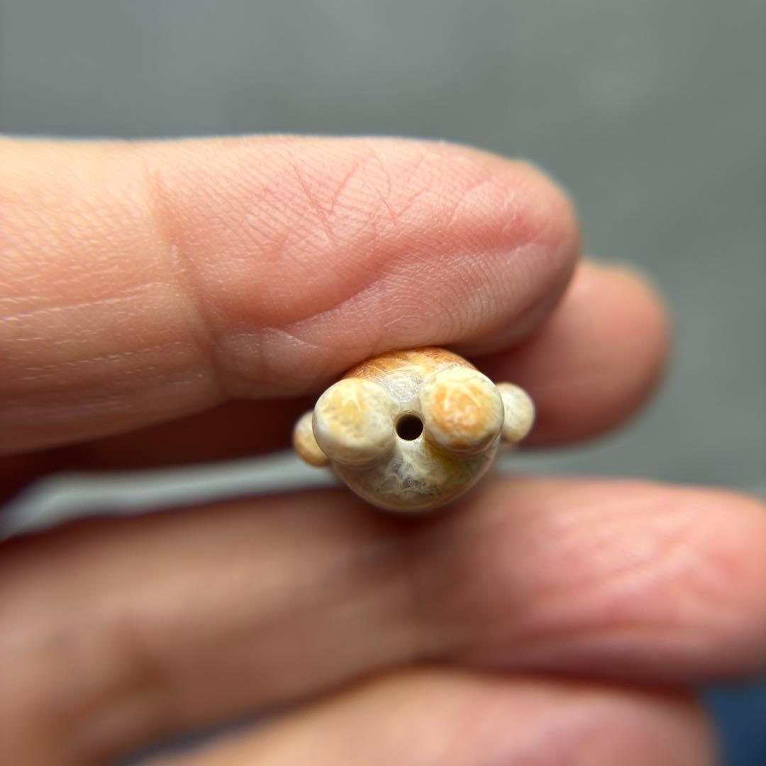 あずきちゃんフォッシルコーラル　クマパーツ　1-160