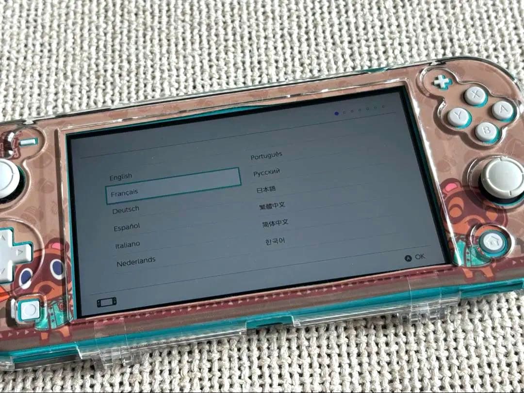 Nintendo Switch Lite ターコイズ 保護ケース　充電器付き