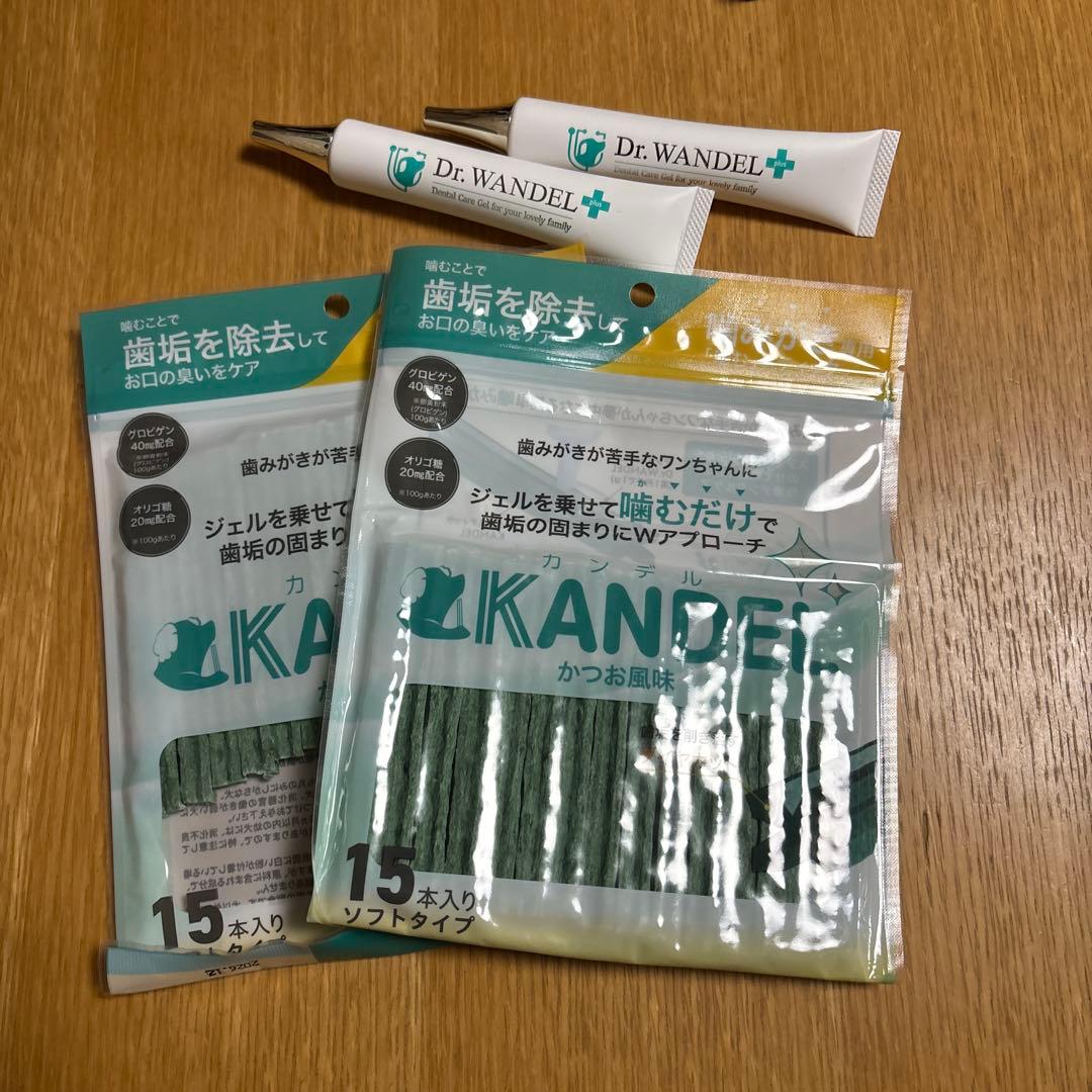 カンデル　ワンデル　セット